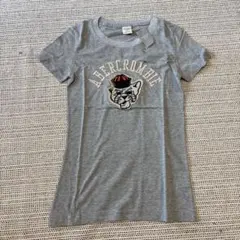 Abercrombie & Fitch グレー Tシャツ M 新品　アバクロ