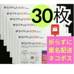【30枚】即発送◎ ★帯付き★匿名★ゆうパケットポスト mini 封筒☆_5