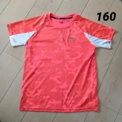 160　PUMAＴシャツ
