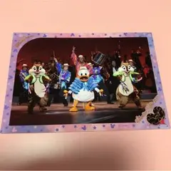 ディズニー スペシャルフォト ドナルド チップ デール