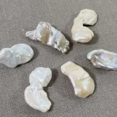 xk536/SALE！淡水パール◇艶あり高級ケシ形　6枚