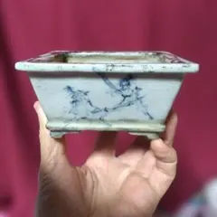 【松坂美山】盆栽鉢 ・赤絵 ・山水画・ 楕円形・ 豆鉢 松坂美山】盆栽鉢 ・赤絵 ・山水画・ 楕円形・ 豆鉢 - メルカリ