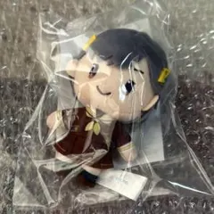 蓮ノ空 ぬいぐるみ セガラッキーくじ B賞 桂城 泉 - メルカリ