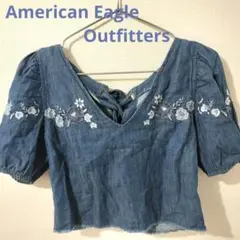 アメリカンイーグル　デニム　花柄　刺繍 半袖　ブラウス　vネック　クロップド