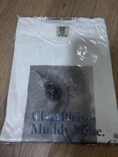 sunny girl ミュージシャン