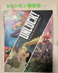※【ルンルン様専用】アンロック