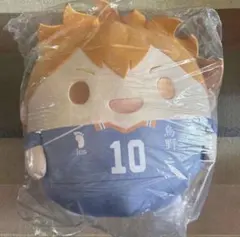 ハイキュー!!ぬいくじ2 A賞 ふわコロりん メガ 日向翔陽 50cm - メルカリ