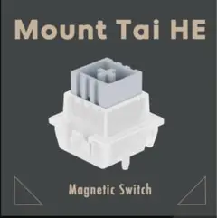 TTC 泰山磁軸 Mount Tai HE 20個 キースイッチ