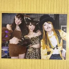 AKB48 公式生写真 小嶋陽菜 大島優子 高橋みなみ