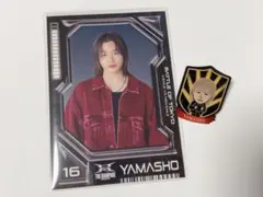 THE RAMPAGE / 山本彰吾 フォトカード