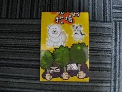 真天地開闢集団ジグザグ ぽんぽこたぬき合戦(フライヤー付き) - メルカリ