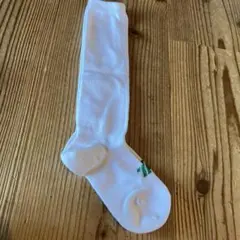 Item thumbnail for item 0d96543e-67e2-4ddd-a2ac-2ce1e4756b73