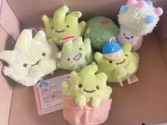 すみっコぐらし ぬいぐるみ ざっそう セット