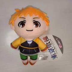東京喰種 トーキョーグール ピこぬい 永近英良