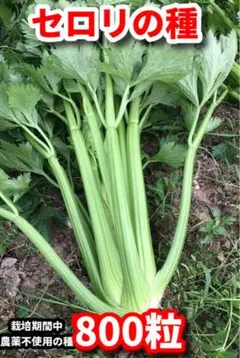 モモママ様 リクエスト 3点 まとめ商品