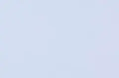 【ヒロ様専用】　クマノミ　EPSON