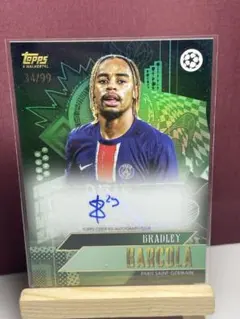 Item thumbnail for item da3205cb-99de-435b-a43c-4191badf467a