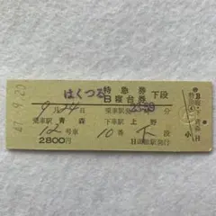 お宝！ 硬券 軟券 B特急券 急行券グリーンチケット 特急鹿島 使用済み切符！ 2026年最新】特急券の人気アイテム - メルカリ