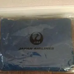 JAL×エトロ アメニティ旅行ポーチのサムネイル