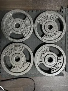 La-Vie ダンベルプレート 5.0kg 4枚セット