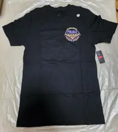 Item thumbnail for item f4c63672-bcf2-4495-931e-01e34c2e5577