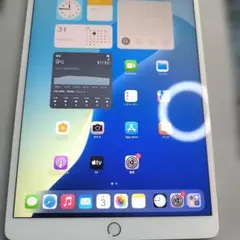 美品　iPad Air第3世代/64GBWi-Fiモデル＋Cellularモデル