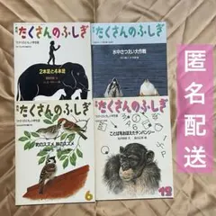 月刊 たくさんのふしぎ 4冊セット
