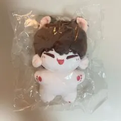 セブチ　ぬい　ぬいぐるみ　ホシ　seventeen マスター　人形　ホッチ　호찌 ホシ ぬいぐるみ 10cm 新品 マスター セブチ seventeenの通販 by