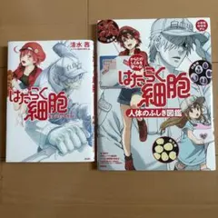 はたらく細胞 公式コミックガイド 人体のふしぎ図鑑 2冊セット