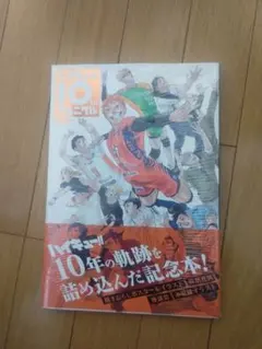 ハイキュー！！　10thクロニクル