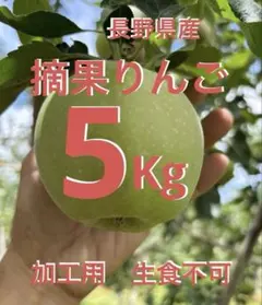 摘果りんご　加工用　生食不可　 約５ｋｇ超え　採れたて直送便　長野県産のサムネイル