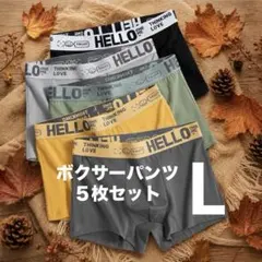 メンズ ボクサーパンツ 5枚セット メッシュ 通気性 前閉じ 吸汗速乾