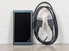 SONY WALKMAN NW-A50Series ディズニー リトルマーメイド - メルカリ