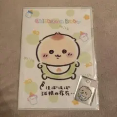 ちいかわ Chiikawa Baby クリアファイル ステッカー　くりまんじゅう
