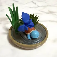 ぽけっとBONSAI ゼニガメ