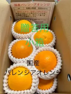 贈答用 小箱 LL 8個 国産バレンシアオレンジ 有田みかん 手土産のサムネイル