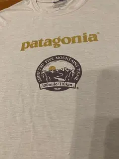 patagonia パタゴニア 信越五岳 Tシャツ