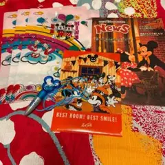 ディズニー　25周年ボールペン　エイブルクリアファイル　非売品