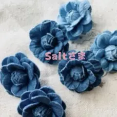 Salt様