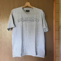 Abercrombie & Fitch グレー Tシャツ L 古着