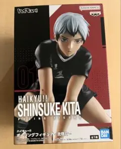 特価 ハイキュー ポージングフィギュア 北信介