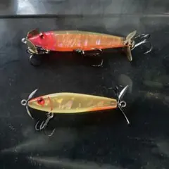 カエス クモキリ 2個セット チャートフロスト - メルカリ