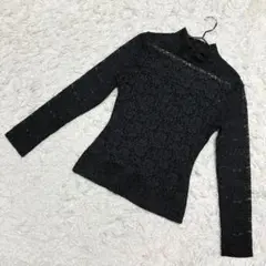 PUMPKIN✨良品　レーストップス　胸元切り替え　総レース　シアー　ブラック