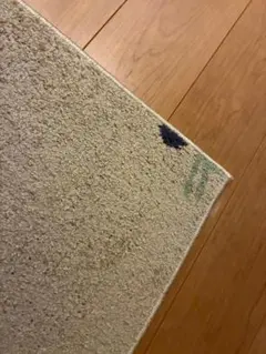 ベージュ系 ラグマット パイル地