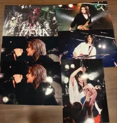 ゼラ ライブフォト