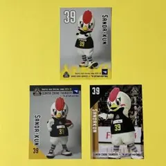 群馬クレインサンダーズ サンダくん カード 3枚セット