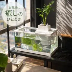 2026年最新】オーバーフロー水槽の人気アイテム - メルカリ