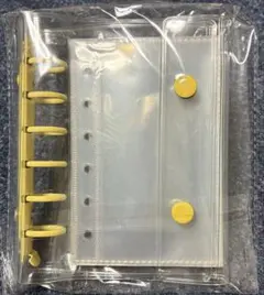 Item thumbnail for item f4005f66-fdb4-44d6-ad8f-e34747c9557d