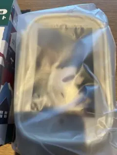 ぽちくじ　刀剣乱舞　肥前忠広