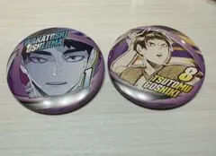 ハイキュー!! ファンパーク コレクション缶バッジ 牛島若利 五色工 2個セット